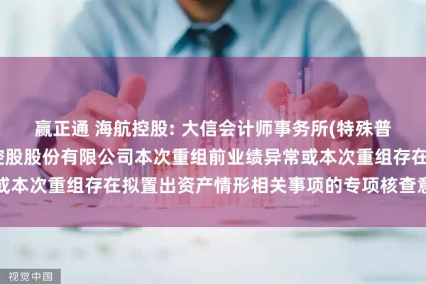 赢正通 海航控股: 大信会计师事务所(特殊普通合伙)关于海南航空控股股份有限公司本次重组前业绩异常或本次重组存在拟置出资产情形相关事项的专项核查意见内容摘要