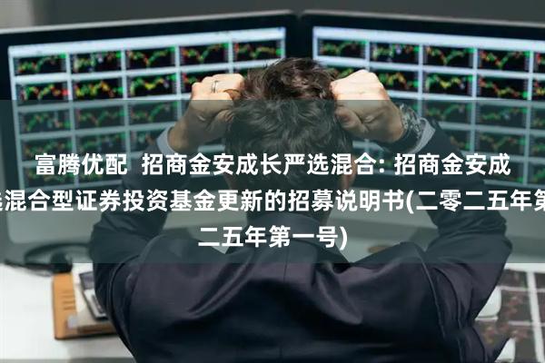 富腾优配  招商金安成长严选混合: 招商金安成长严选混合型证券投资基金更新的招募说明书(二零二五年第一号)