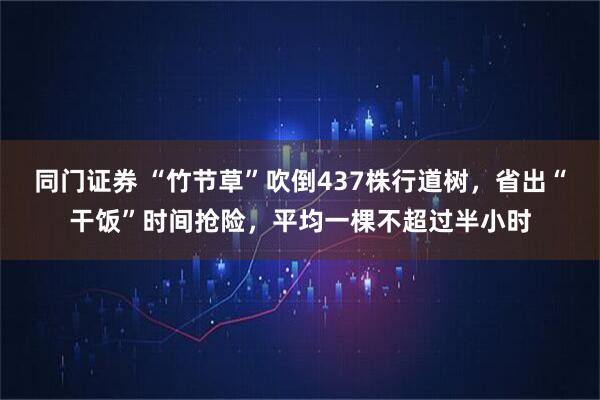 同门证券 “竹节草”吹倒437株行道树，省出“干饭”时间抢险，平均一棵不超过半小时