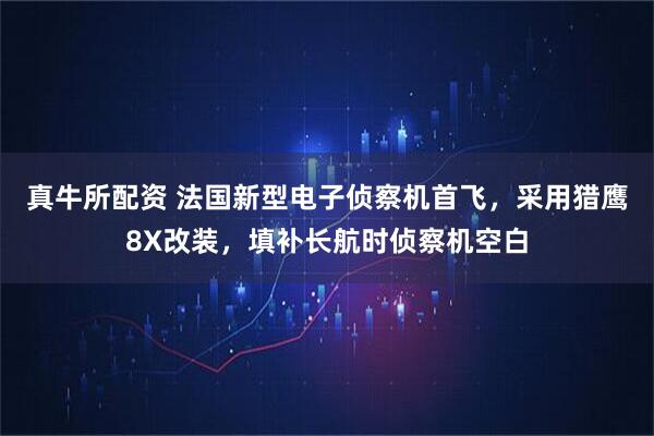 真牛所配资 法国新型电子侦察机首飞，采用猎鹰8X改装，填补长航时侦察机空白