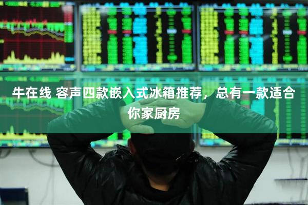 牛在线 容声四款嵌入式冰箱推荐，总有一款适合你家厨房