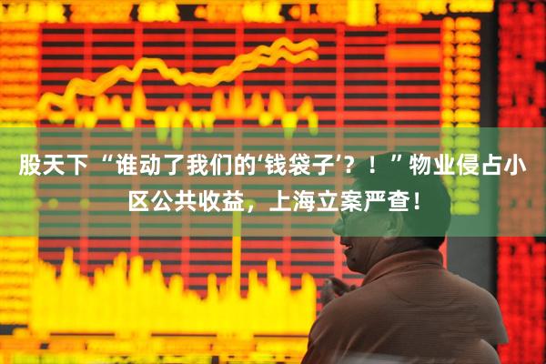 股天下 “谁动了我们的‘钱袋子’？！”物业侵占小区公共收益，上海立案严查！