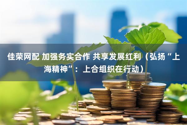 佳荣网配 加强务实合作 共享发展红利（弘扬“上海精神”：上合组织在行动）